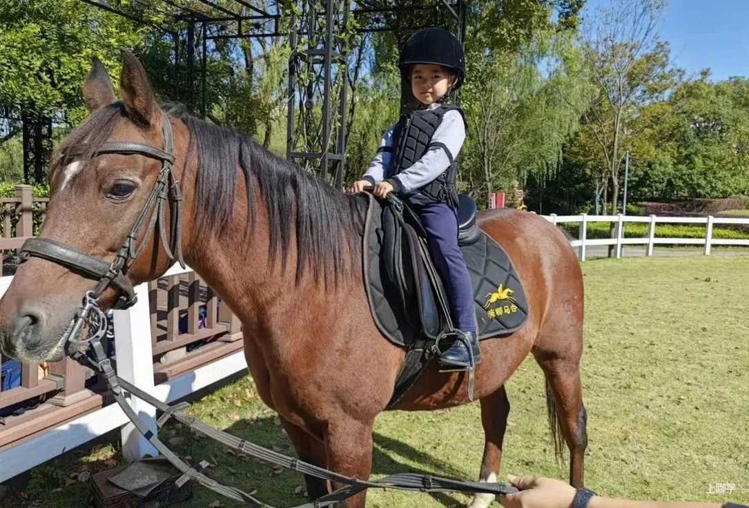 上海这所实力、颜值、性价比都高的幼儿园，它还有一个身份相关资料 50