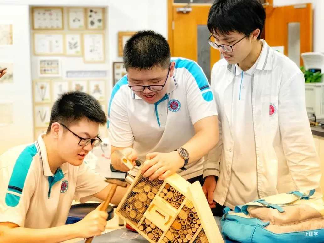 喜讯丨杨浦区14所学校、社团获评首批上海市科技教育特色示范学校和学生科技创新社团相关资料 96