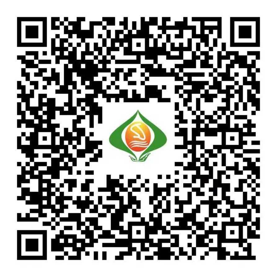 上海4区已发布25年入园区细则~相关资料 9