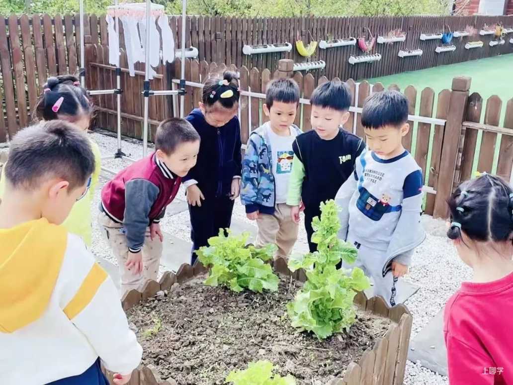 上海宝山区哈贝双语幼儿园2022学年招生简章相关资料 38