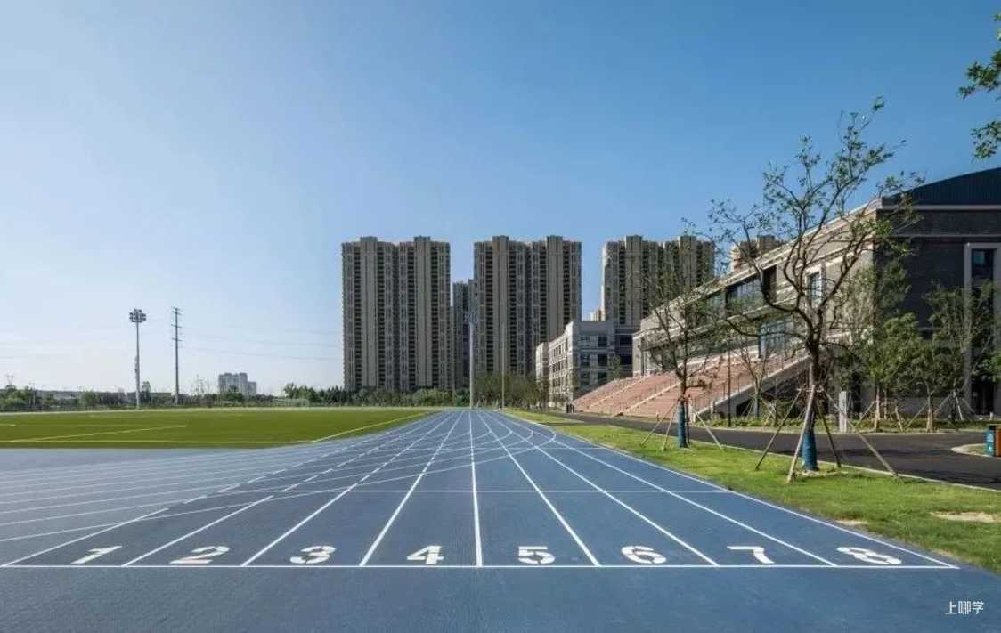 双语浸润、一贯制办学、不限户籍……秋季升学必看清单！免费预约上海35所学校！相关资料 24