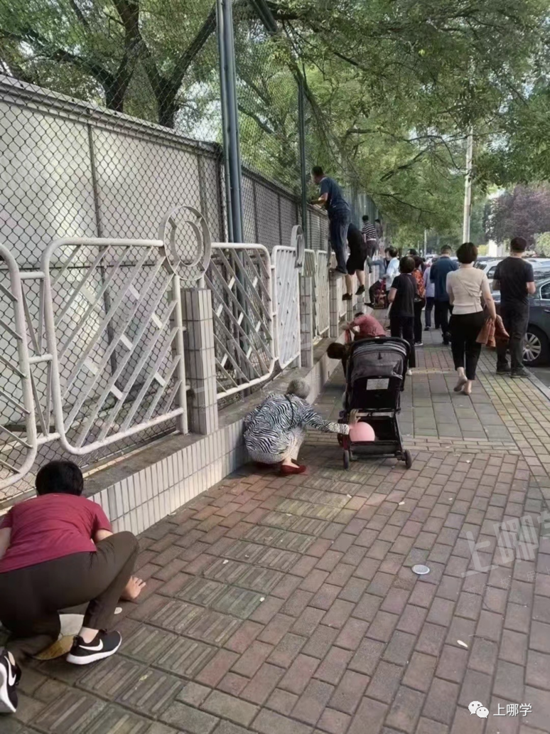“神兽”归笼，爸妈反应太真实！上海中小学生开学第一天场面有点失控！趴窗、爬墙、蹲地上......相关资料 9