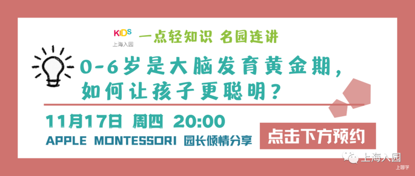【221116三条等】还有机会！上海11月托育园&幼儿园更新预约，附报名通道～相关资料