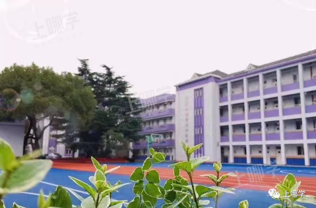 规划图曝光！上海这个区将新建一所大规模小学！项目效果图超美！相关资料 19