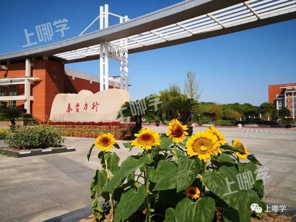 21个复旦、25个交大！上海这所“黑马”学校成绩再度引人注目！还连读多年收获清北录取喜讯！相关资料 6