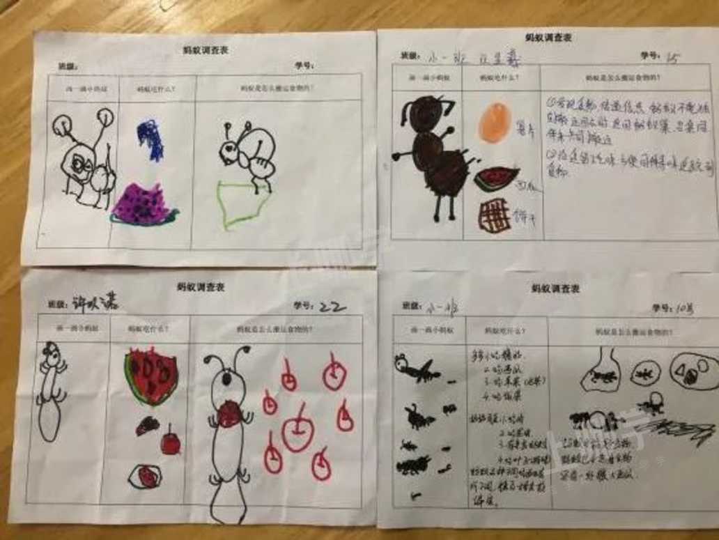 畅玩绘本,乐享玩剧——启源小班玩剧《蚂蚁和西瓜》-上哪学