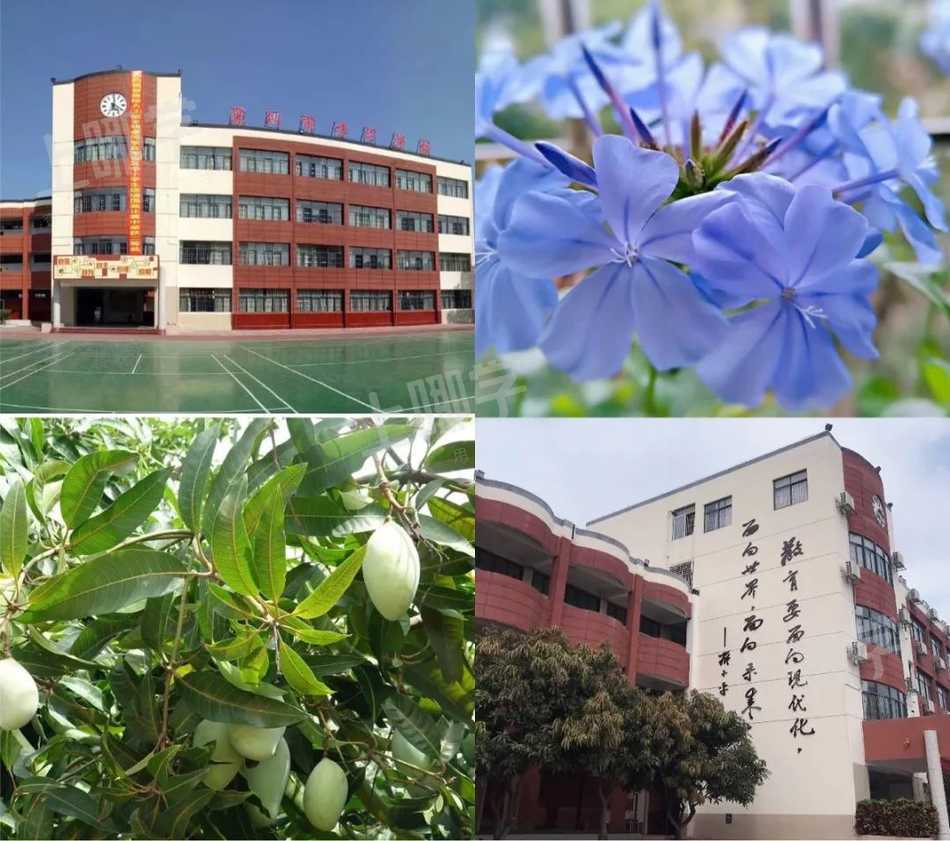 宝安区才华学校2021年秋季开始招生啦