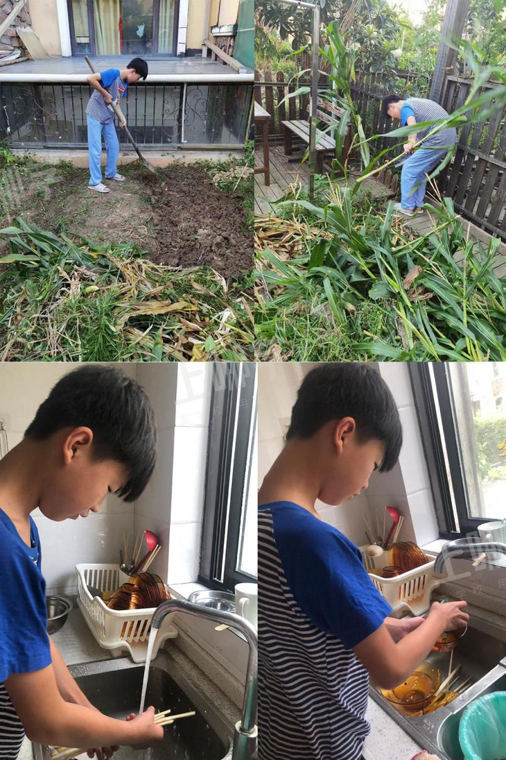 以劳育美悦享成长帕丁顿初中家庭劳动实践教育活动