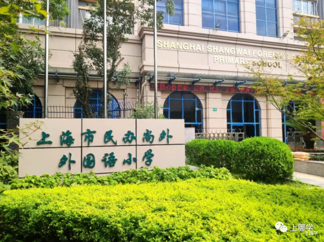 可跨区填报！2025年上海全市招生民办小学名单出炉，今年新增2所！多校减招！相关资料 11