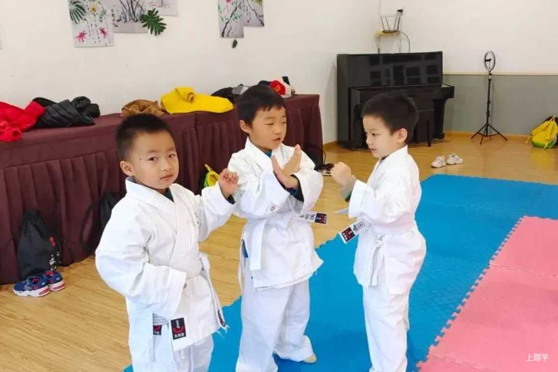 上海宝山区高境贝贝马艺术幼儿园开始招生啦！！！相关资料 82