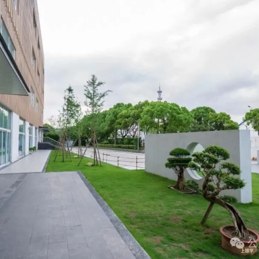 秋季学位提前锁定！这批民办小学周末开放日预约中相关资料 37