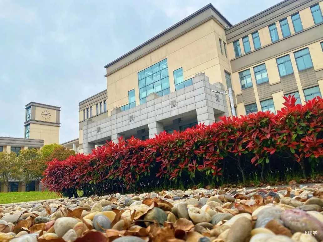 上海中学东校丨不限对口全区可报！上海这所公办学校超额摇号录取，报名后不能参加公办第一批验证！相关资料 10