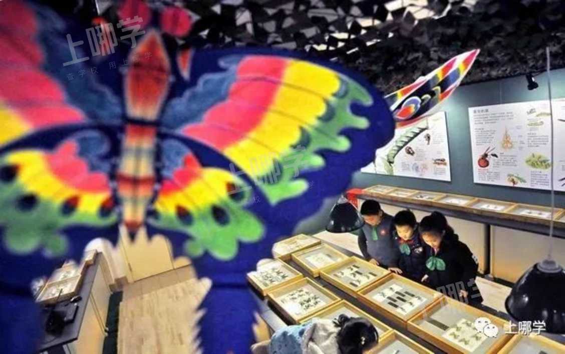 又被刷屏！上海这个小学校长入围“国家级”荣誉评选！老牌校低调有实力，今年扩招1个班！相关资料 15