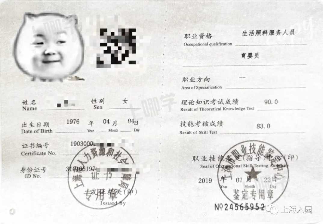 爱菊托育园｜美爆了！上海这所开在公园里的超热门托育园，双语教学，还可晚托到18点！相关资料 54