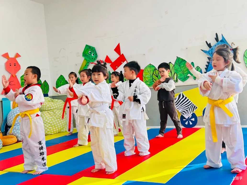 上海宝山区高境贝贝马艺术幼儿园开始招生啦！！！相关资料 78