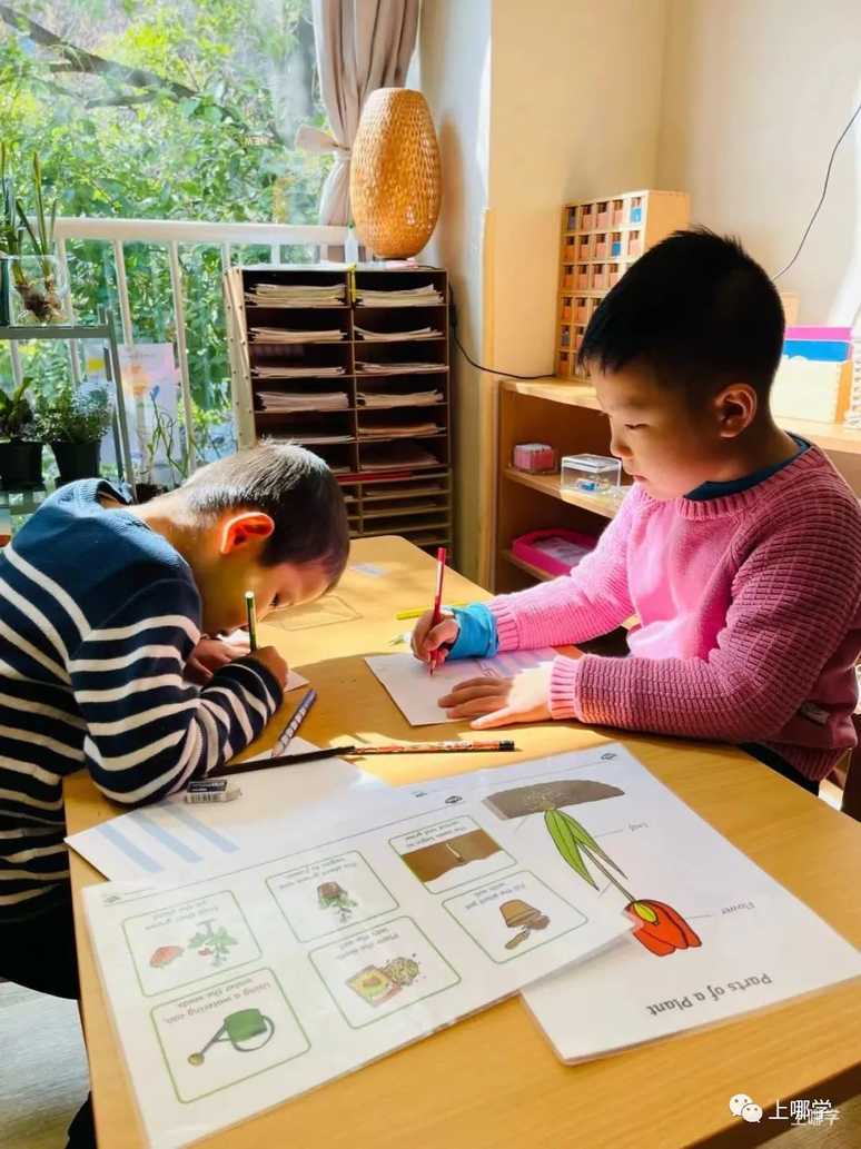上海市中心还有这样一座隐于喧嚣的高端幼儿园！纯正蒙氏教育体系、原生态园林环境，今年仅开放少量学位预约！相关资料 38