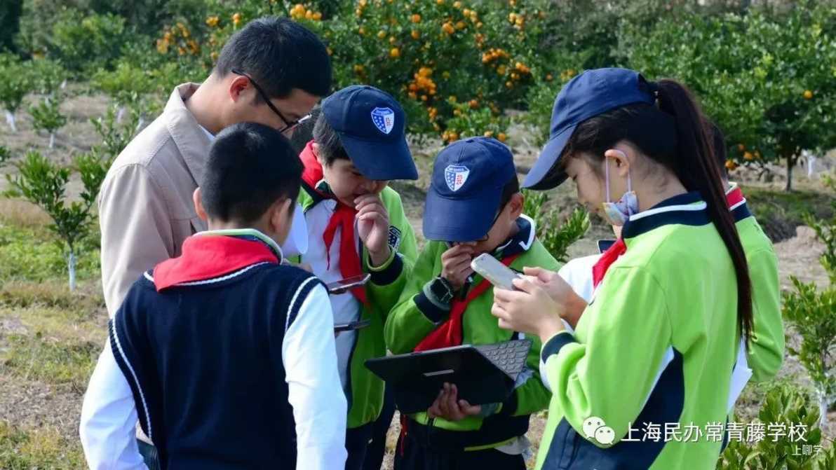 浦东家长注意！这所融合课程小学，素质教育抓得紧！相关资料 39