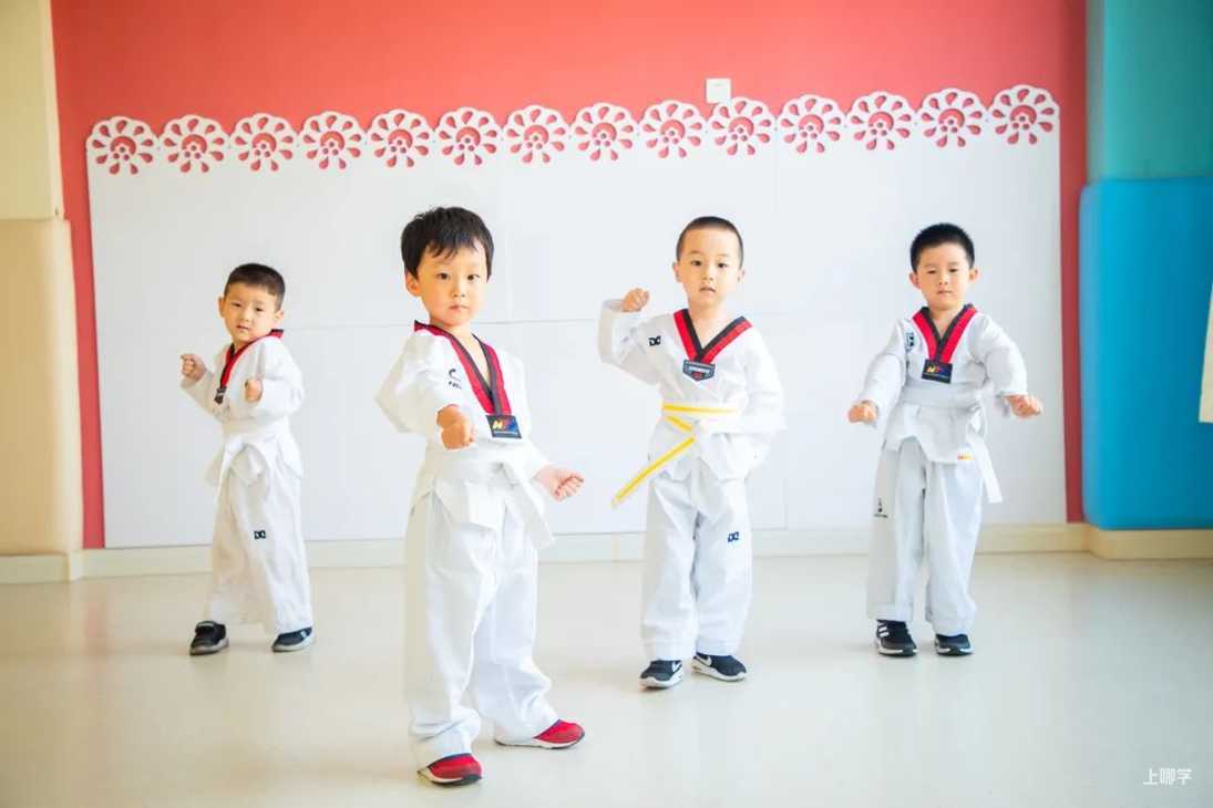 上海这所实力、颜值、性价比都高的幼儿园，它还有一个身份相关资料 40