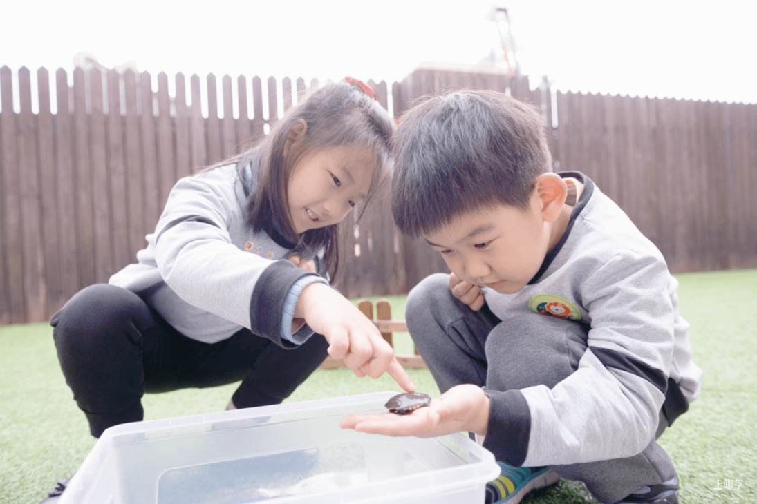 上海这所实力、颜值、性价比都高的幼儿园，它还有一个身份相关资料 57