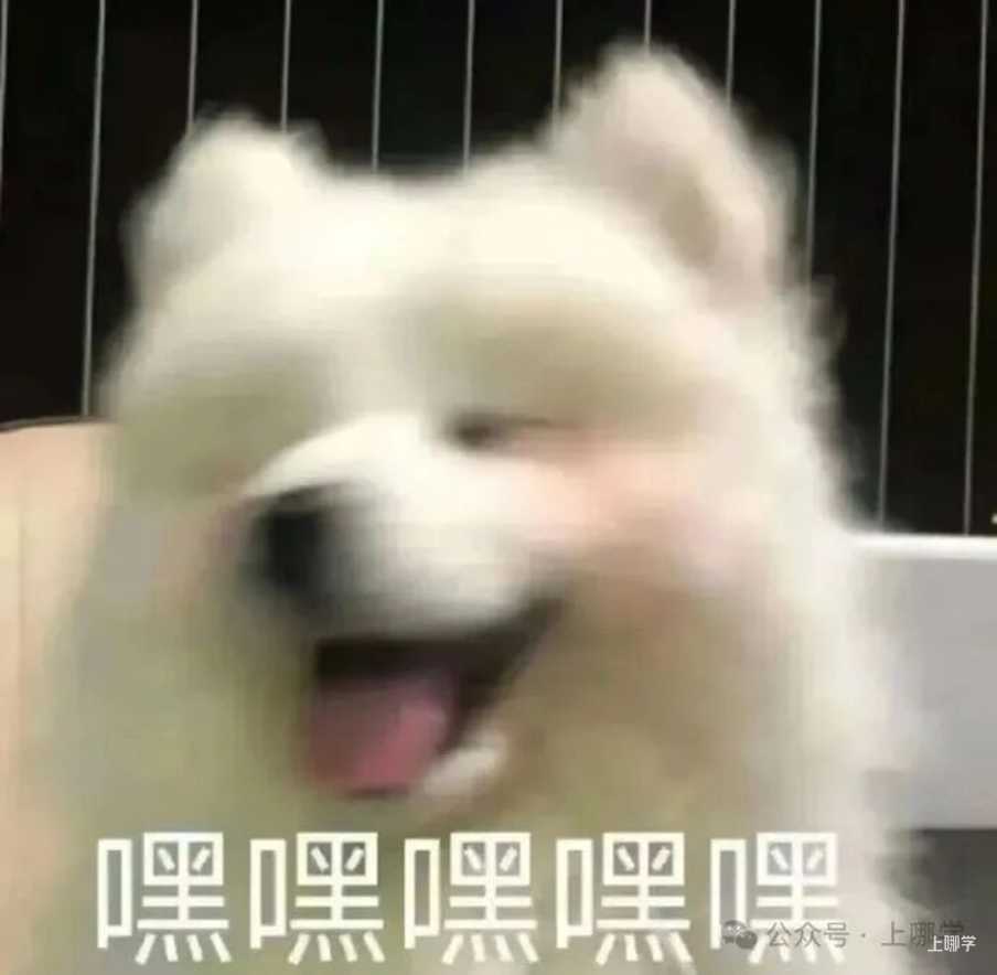 835eb4c5facd29e80e564e161796941c_005UJ76vgy1hr1z7yg8ddj30u00tddhr.jpg