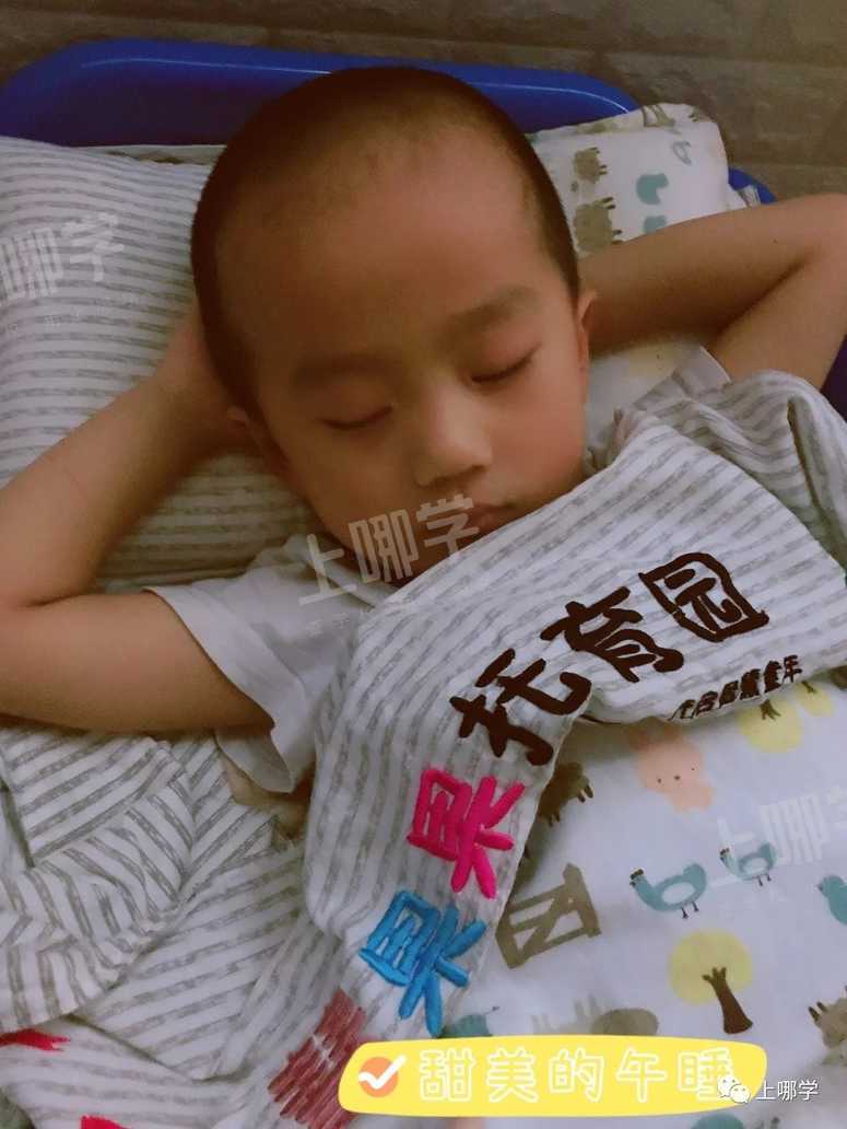 好消息！这家蒙式双语托育园上线啦！超高性价比！现有双语班、衔接班、国际班可选，更有一对一探园免费预约～相关资料 23
