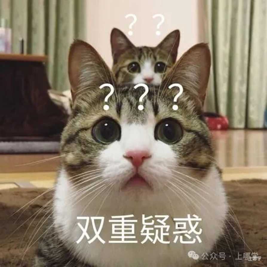 黄浦区幼小初高教育资源全分析～相关资料 2