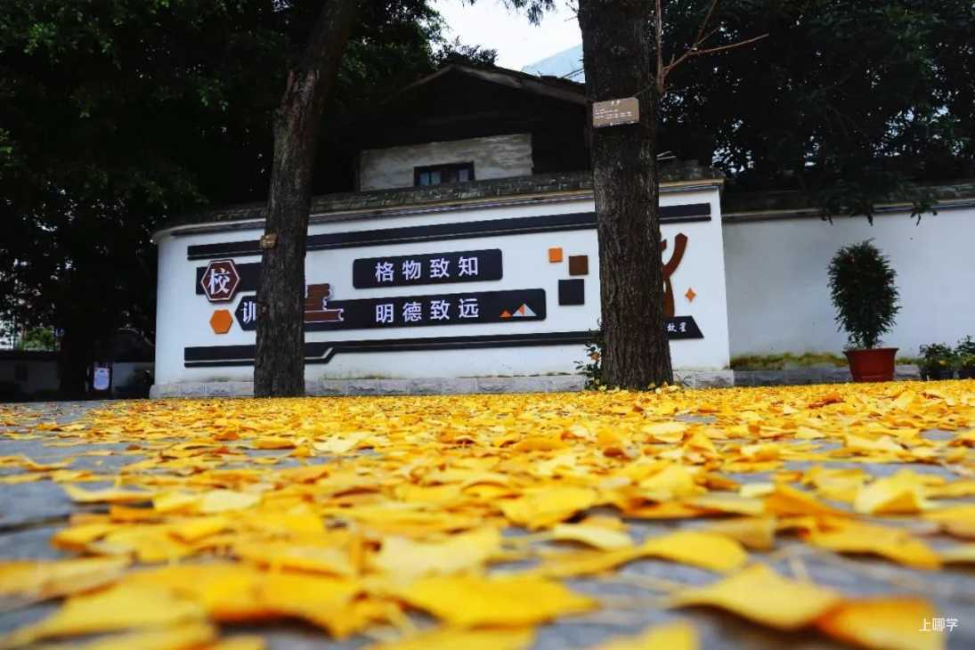 上海市格致中学丨上海这所中学火了，先后诞生3位复旦校长！分数低出口好，性价比超高！相关资料 6