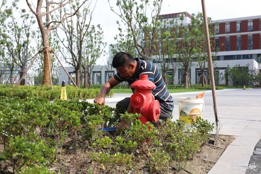 新校区建成！下月启用！学生等正在从黄浦和闵行搬迁至浦东！相关资料 16