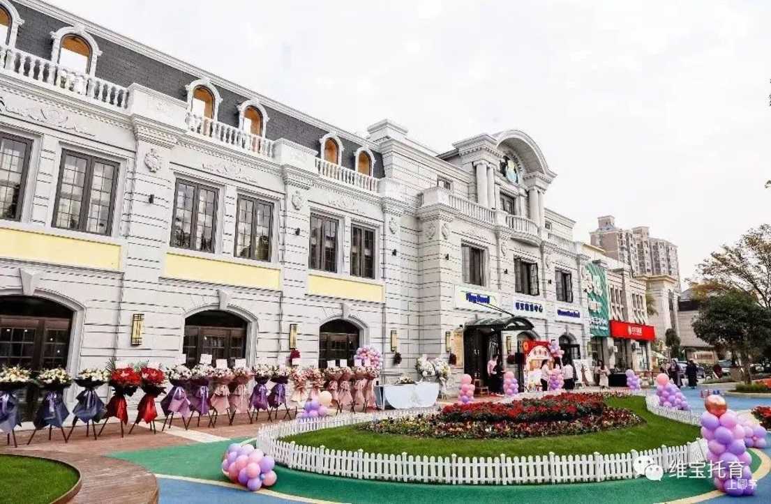 特辑必看！热门幼儿园、托育园！老牌名校、素质教育、更有托幼一体！尤其浦东爸妈，看哪个最适合宝贝？相关资料 17