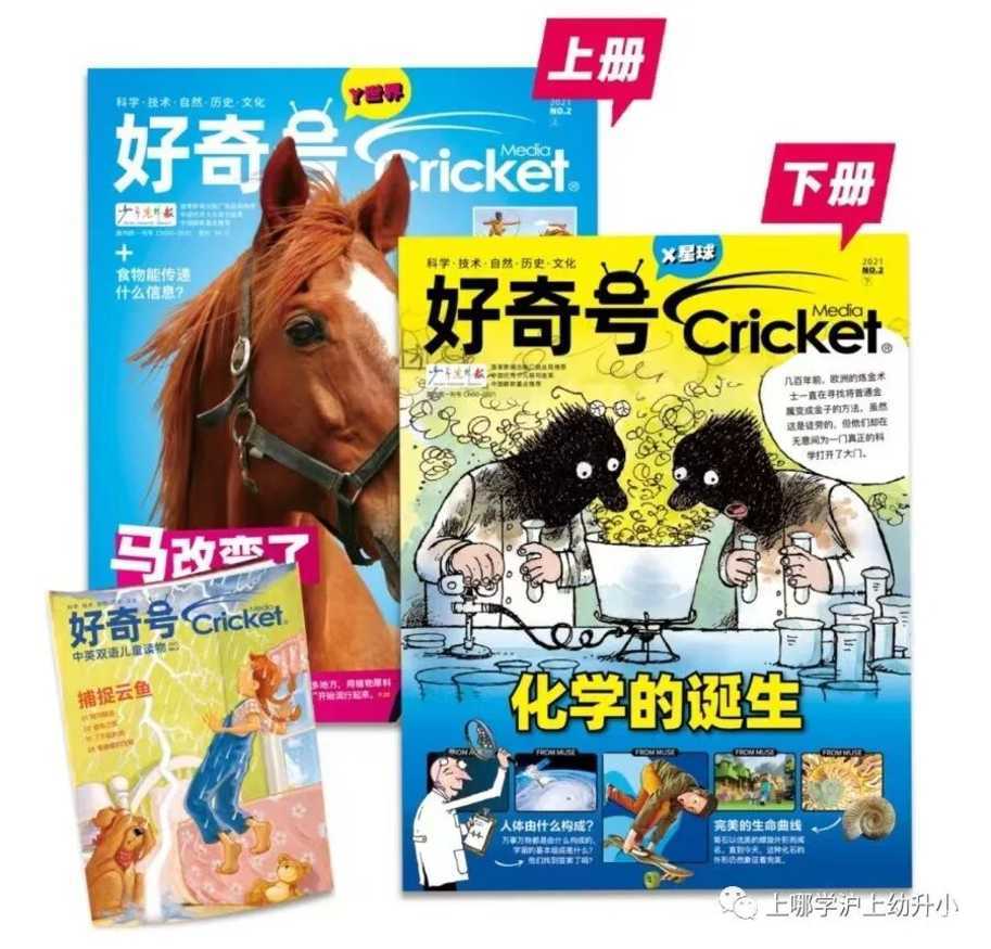 惊了，几十块钱就能囤到半年杂志过刊,后悔没早点推荐给大家~相关资料 9