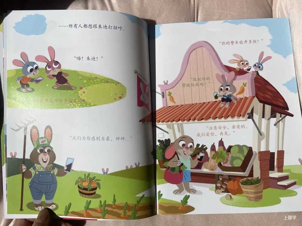终极薅羊毛！迪士尼正版授权每本不到3元！3-6岁家庭绘本套装12册，冰雪奇缘、疯狂动物城…抢爆了！相关资料 50