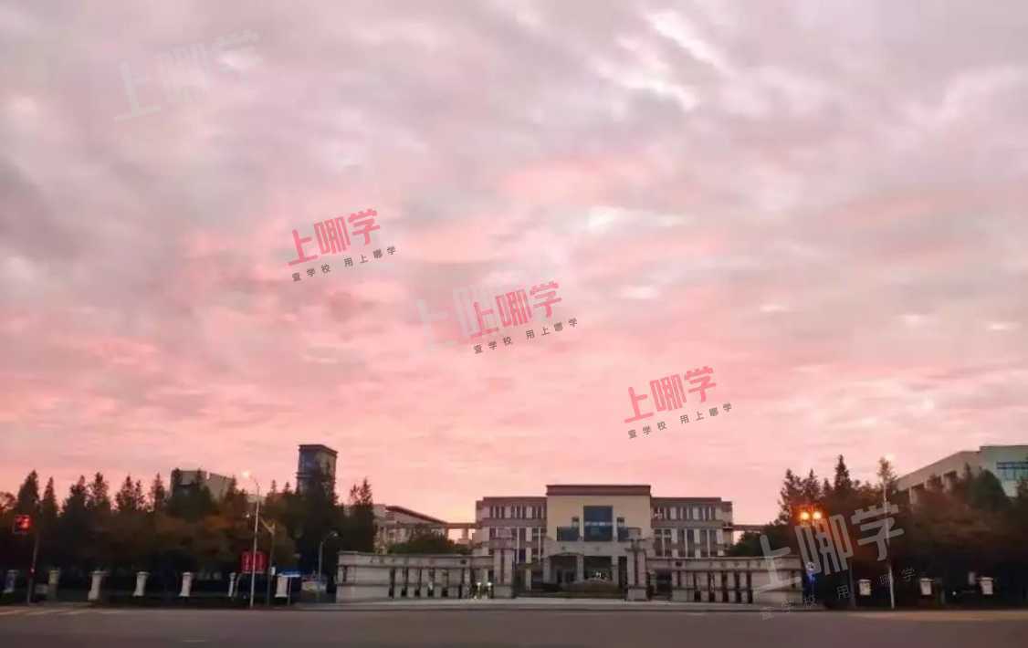 黑马反超！上海这所学校后来居上！数奥决赛17人斩获金牌！9人进入国集，获清北保送资格！ 相关资料 6