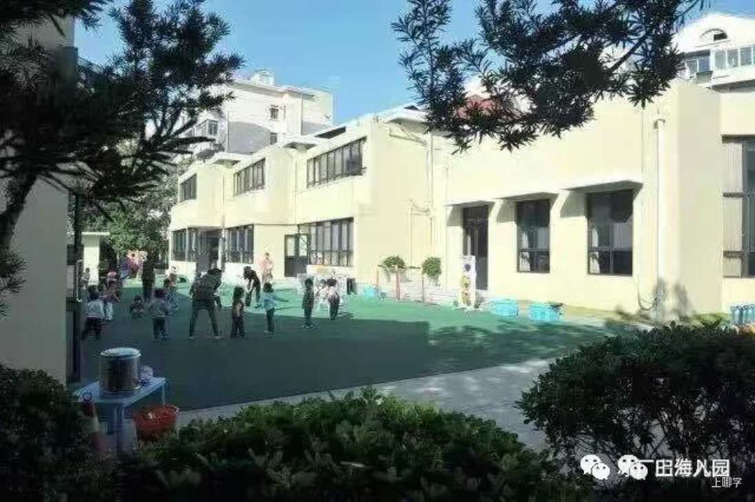 对口地段优先！上海10组性价比超高的幼儿园+小学组合！公办入学双重保障！相关资料 38