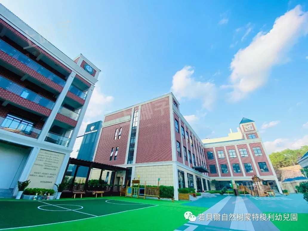 深圳市龙华区若贝尔自然树蒙特梭利幼儿园2022春季学位抢先预定中