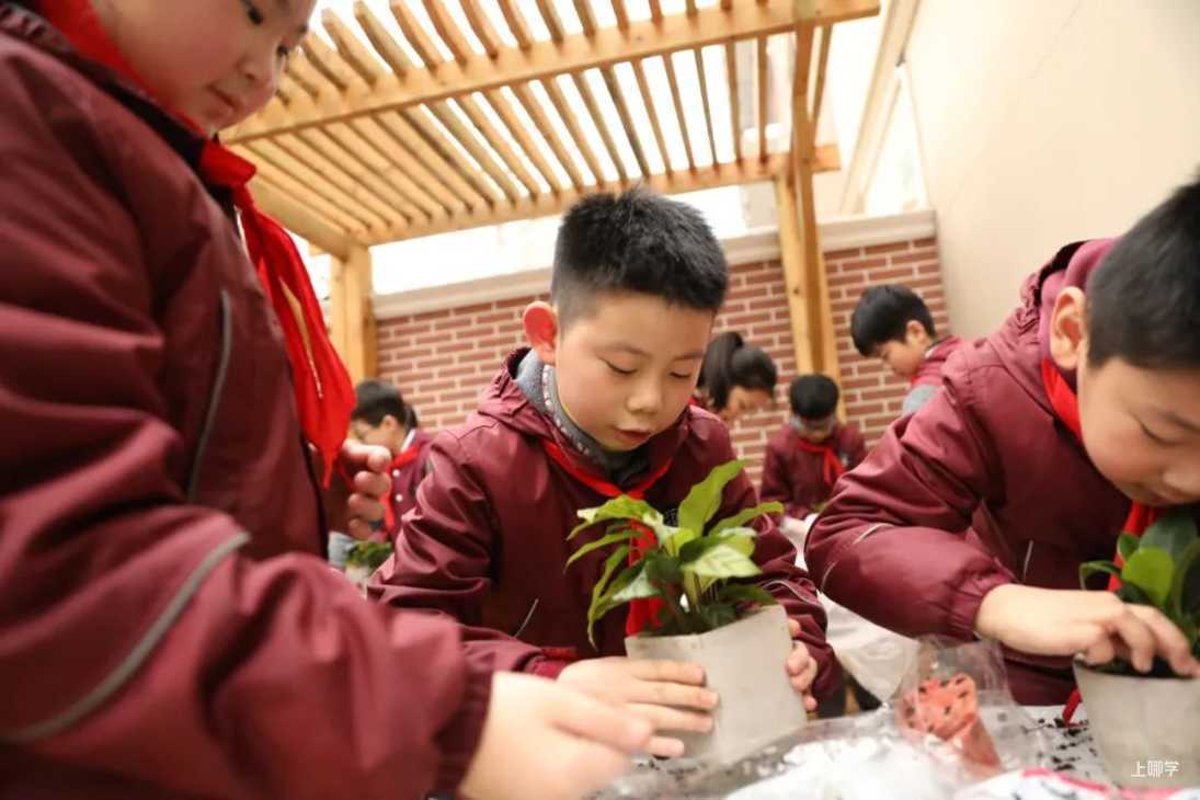 上海黄浦区两校更名为上海交通大学附属黄浦实验中学和小学！揭牌仪式将于2022年秋季学期举办！相关资料 14