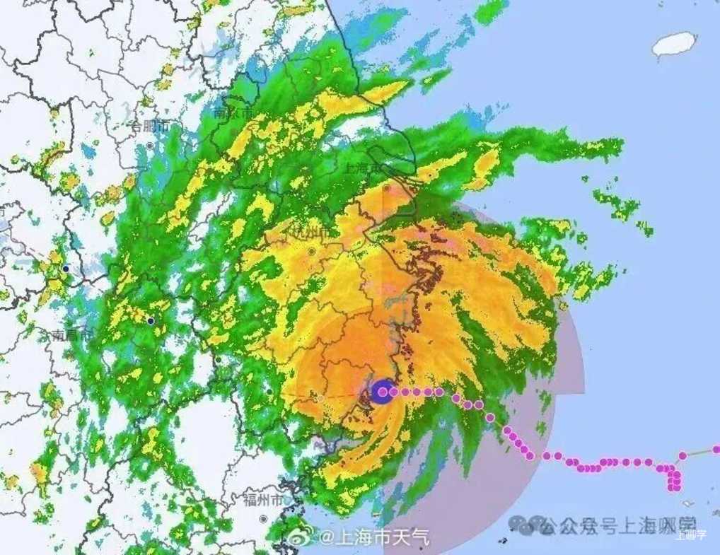 “白海豚”再次登陆！上海青少年中心发布紧急停课通知！相关资料 2