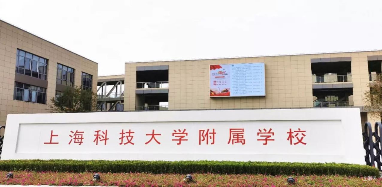 暂停招生！上海今年7所民办学校暂时停招！其中一所才开办3年，明确转公！相关资料 5