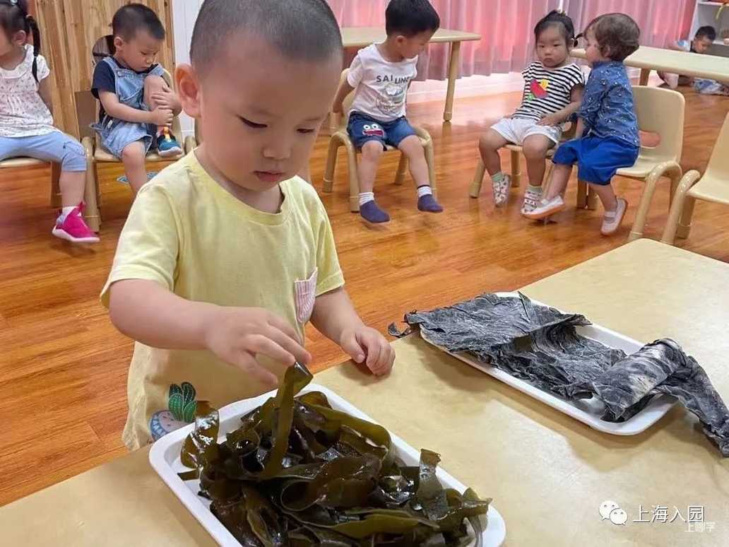 入托招生！吉瑞托育园！黄浦区一所温馨、精致双语园～相关资料 31