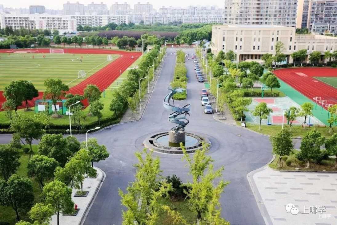 上海华二系学校盘点！相关资料 43