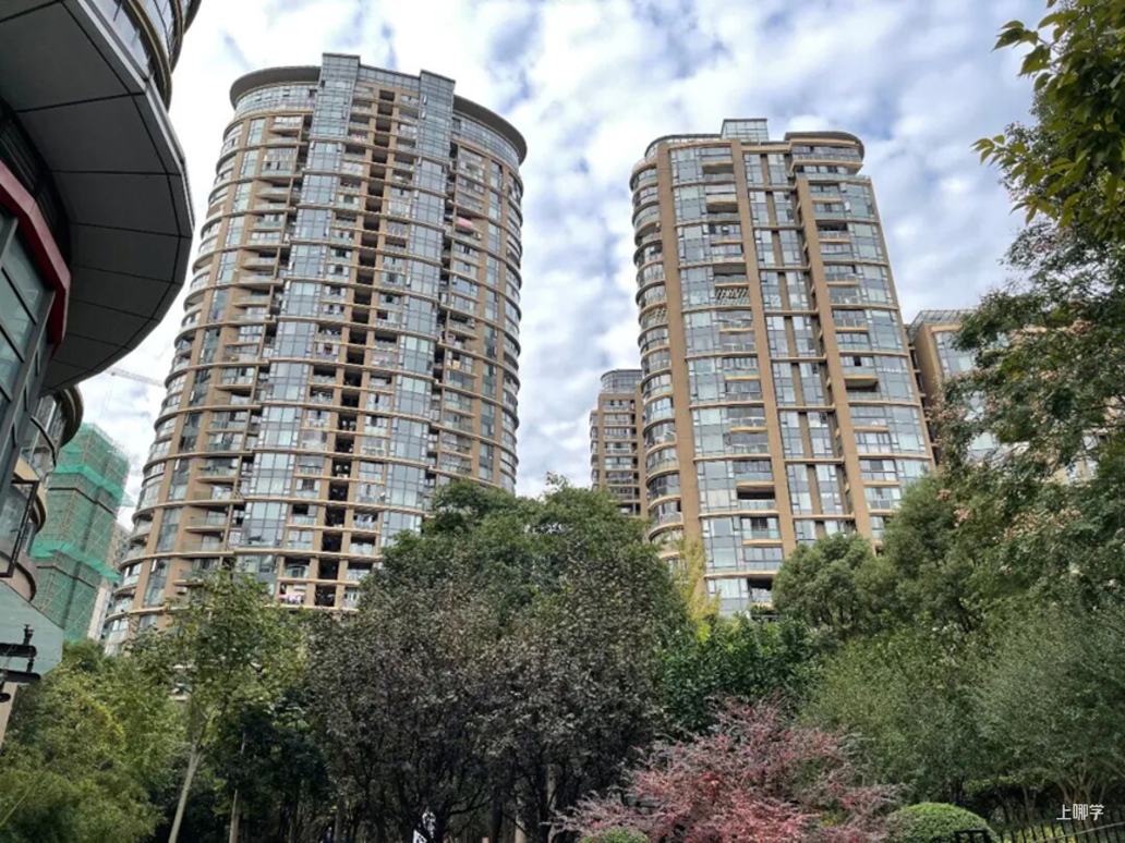 新政爆了，上海1000-1500万买房更难了相关资料 12