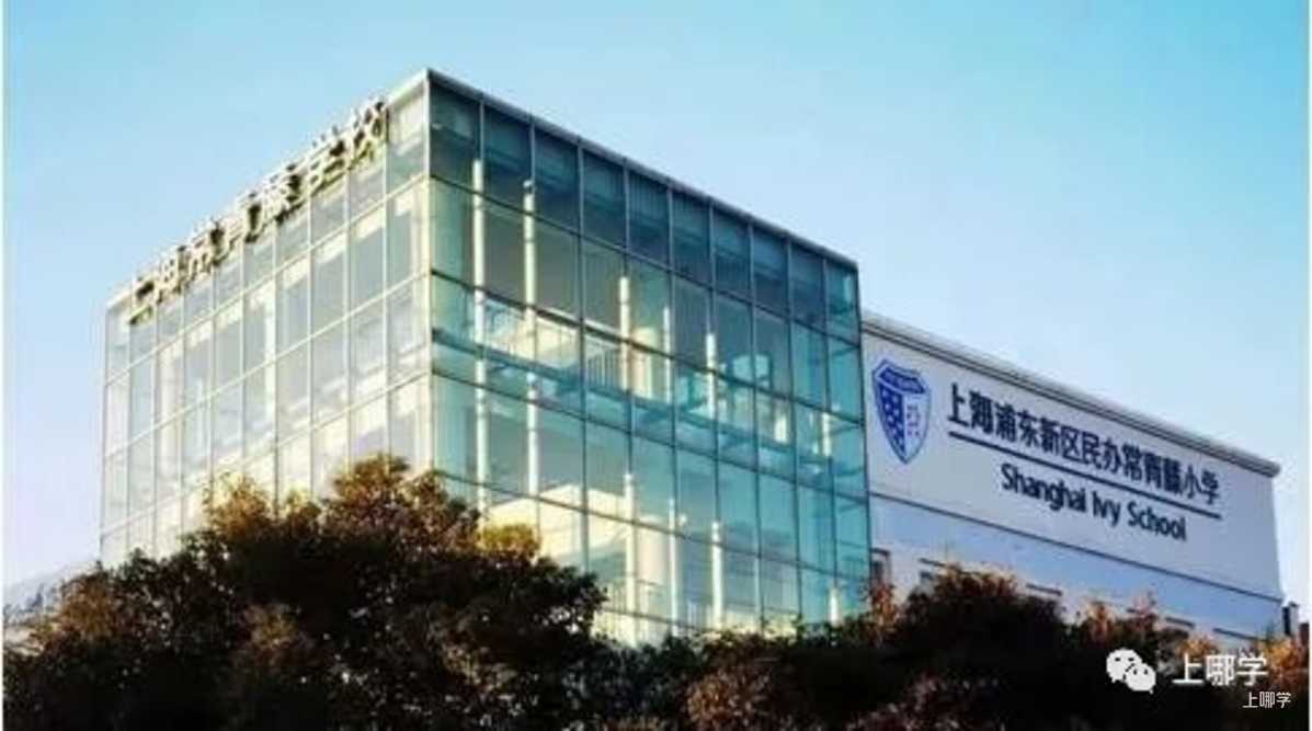太赞了！2022年上海统招接受调剂志愿的民办学校大汇总！逸夫，爱菊，兰生今年都接受调剂志愿！相关资料 76