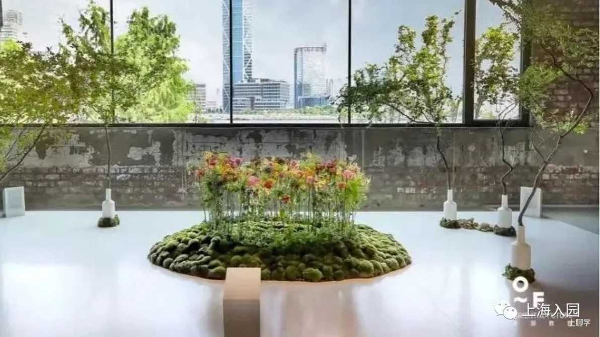 超值体验！上海这些园所开放主题课程！IB课程、非洲鼓、亲子双语...相关资料 25