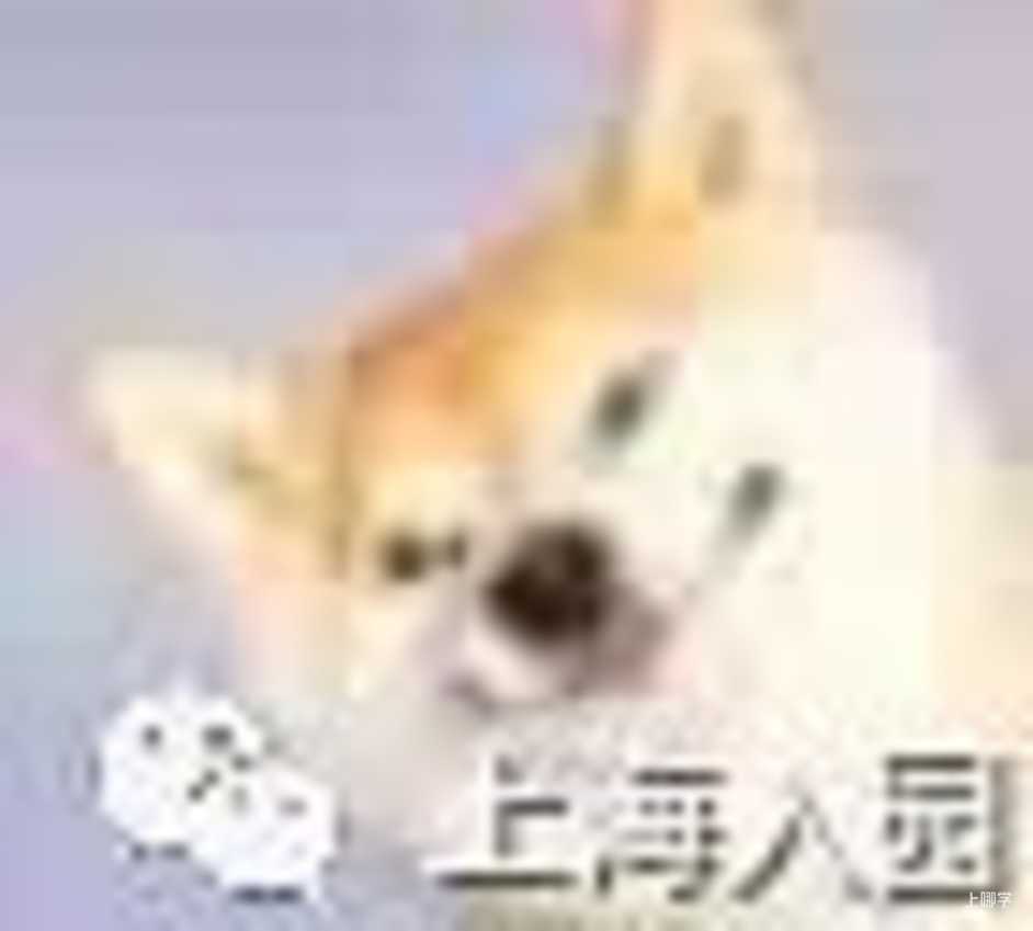 择园关键期，徐汇必看园所！相关资料 6