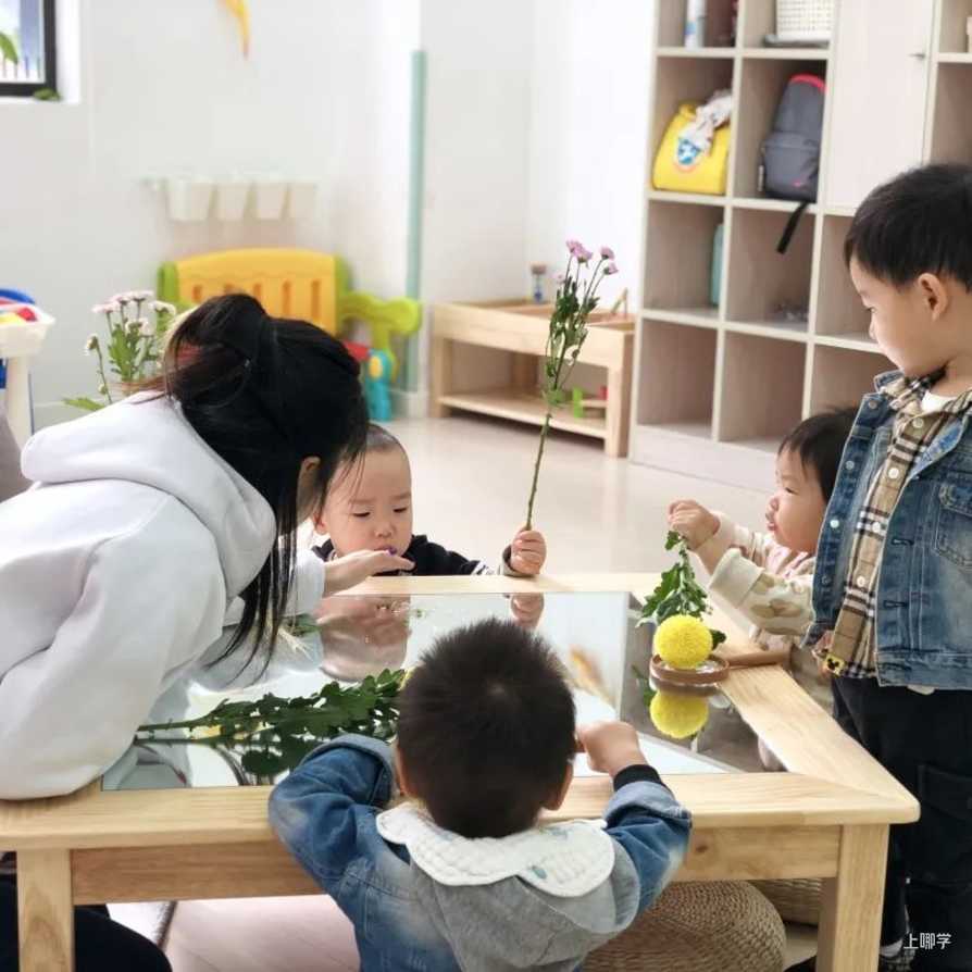 嘉乐贝贝托班春季招生开始咯相关资料 10