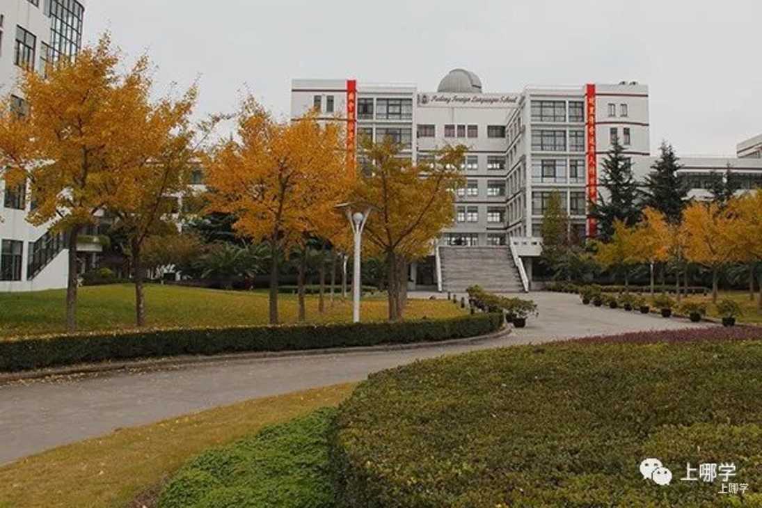 挖到宝了！上海这16所公办强初，招生方式特殊！部分无需对口，不限户籍，全市可报～相关资料 5
