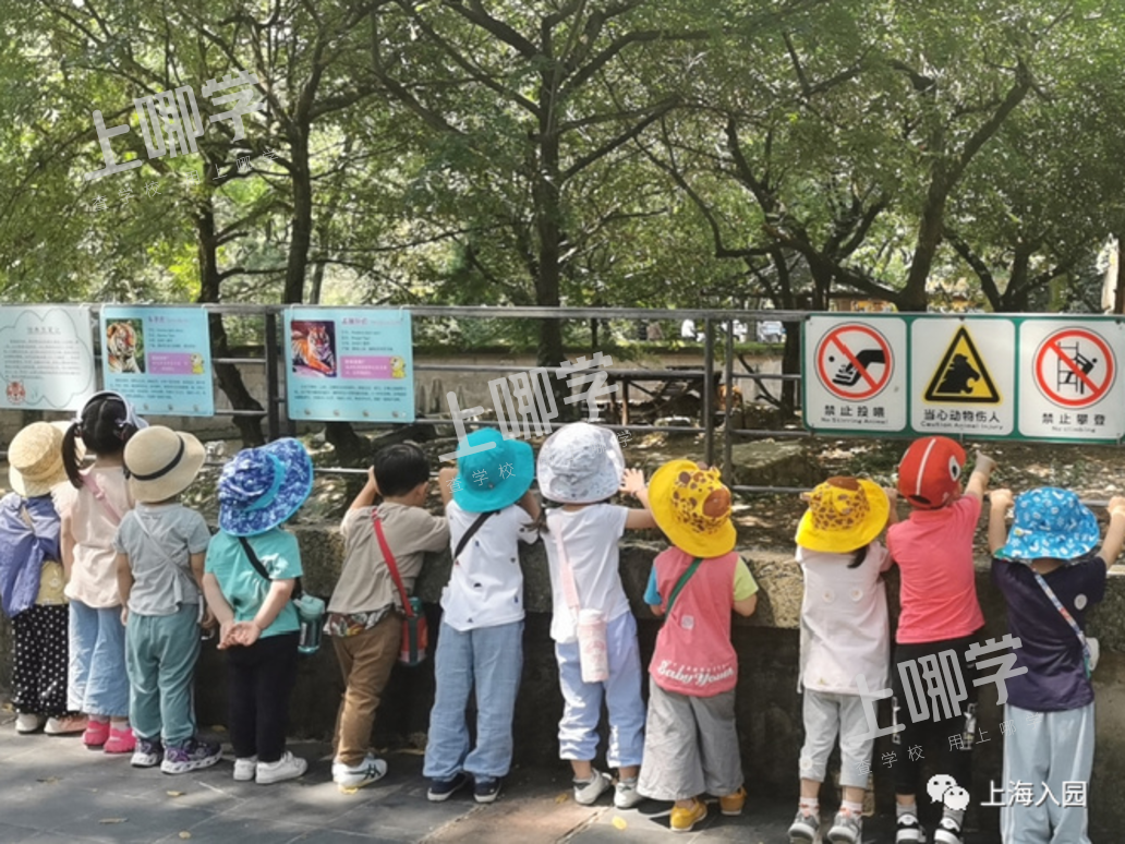 爱菊托育园｜美爆了！上海这所开在公园里的超热门托育园，双语教学，还可晚托到18点！相关资料 45