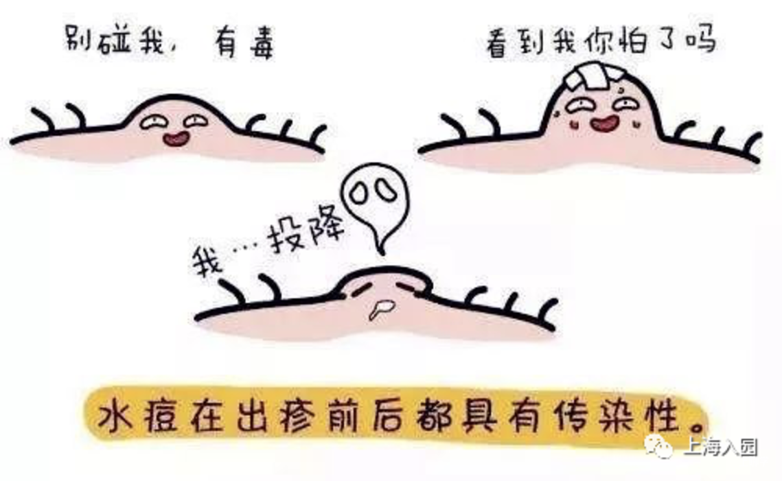 提醒！11月水痘高发期，上海入园群已有儿童中招！家长务必做好防范措施！附预防攻略～相关资料 5