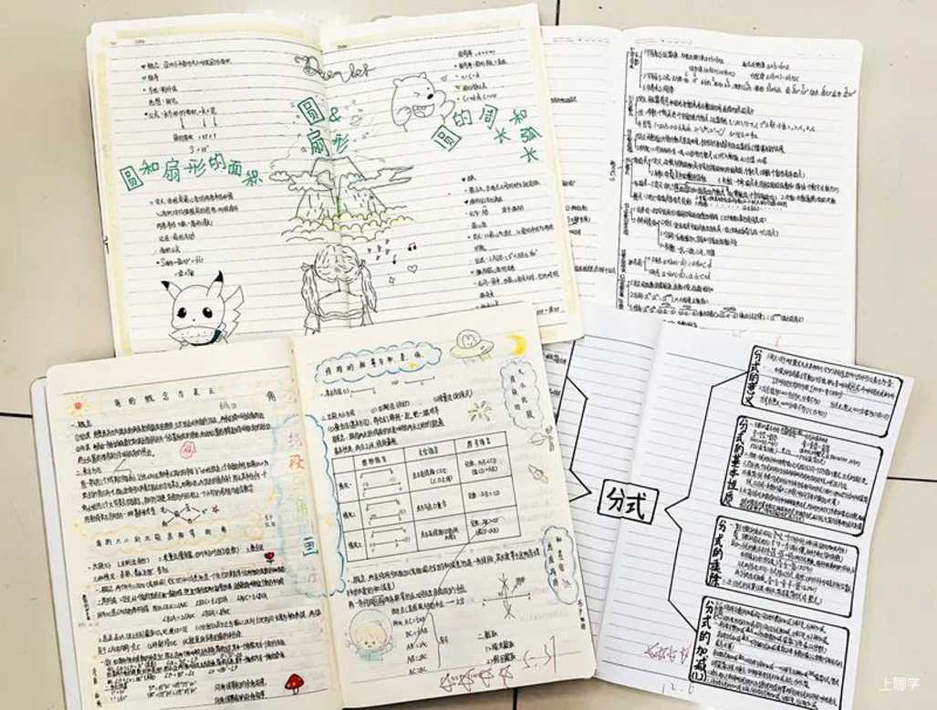 申时校园看“双减” | 嘉定：育人育己，师生共享成长相关资料 10