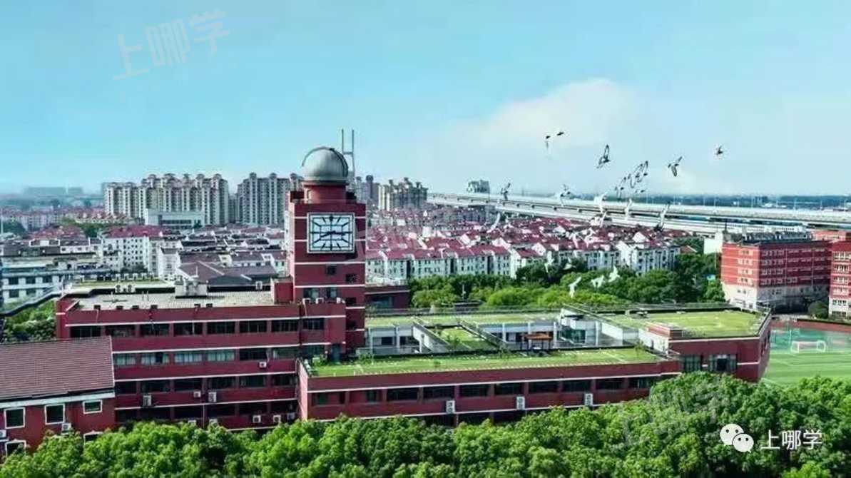 上海这个区教育发展迅猛！聚齐世外、上中、华师、协和等品牌校，潜力巨大，近两年招生越来越严格！相关资料 4