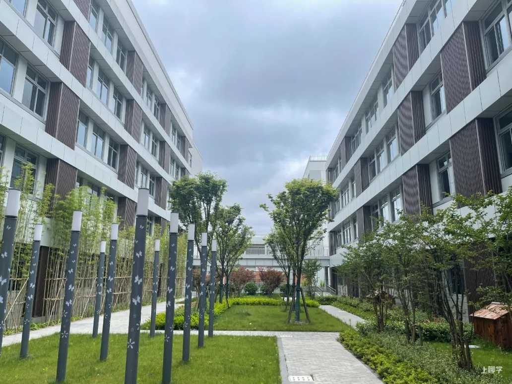 师资强！设施硬！上海这所新建优质学校毗邻智能创新实验区！即将迎来第一届新生！相关资料 4
